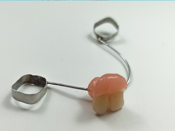 Odontopediatr&iacute;a